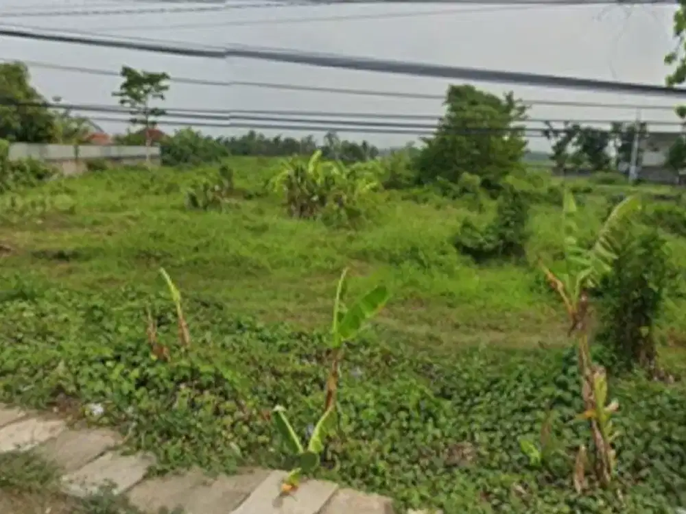 DIJUAL TANAH STRATEGIS DI PINGGIR JALAN RAYA WELERI JAWA TENGAH