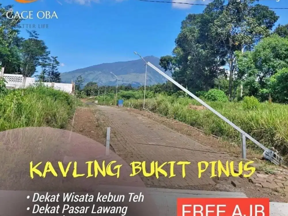 Jual Tanah Kavling Murah Lokasi Ketindan Lawang Malang