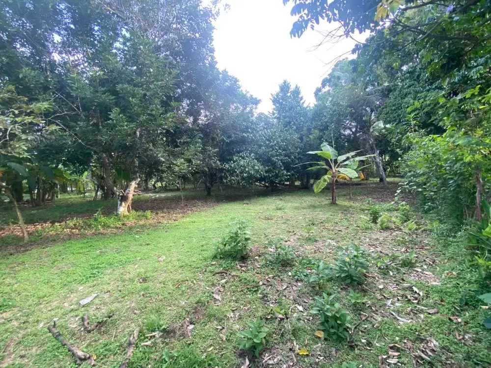 Kesempatan Baik untuk Anda yang Mencari Tanah Bernilai