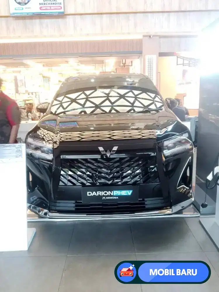 [Mobil Baru] Special Price Mobil Listrik Wuling Darion EV