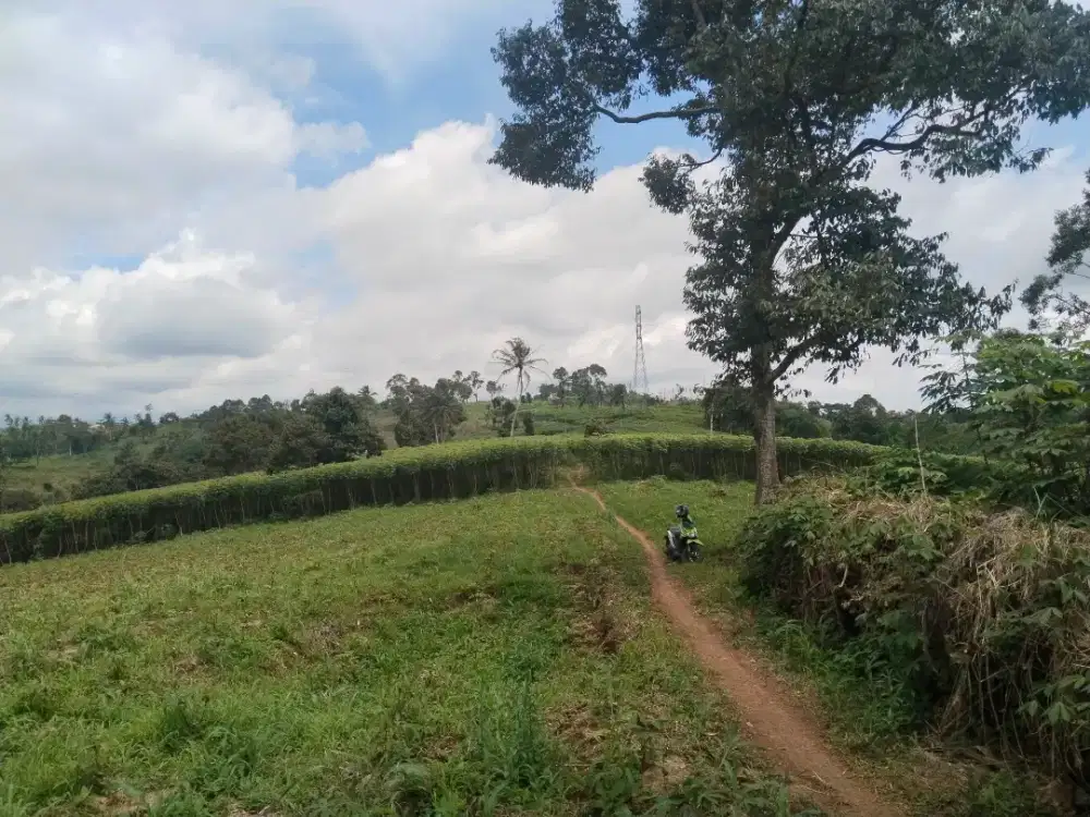 dijual tanah darat satu hamparan daerah strategis