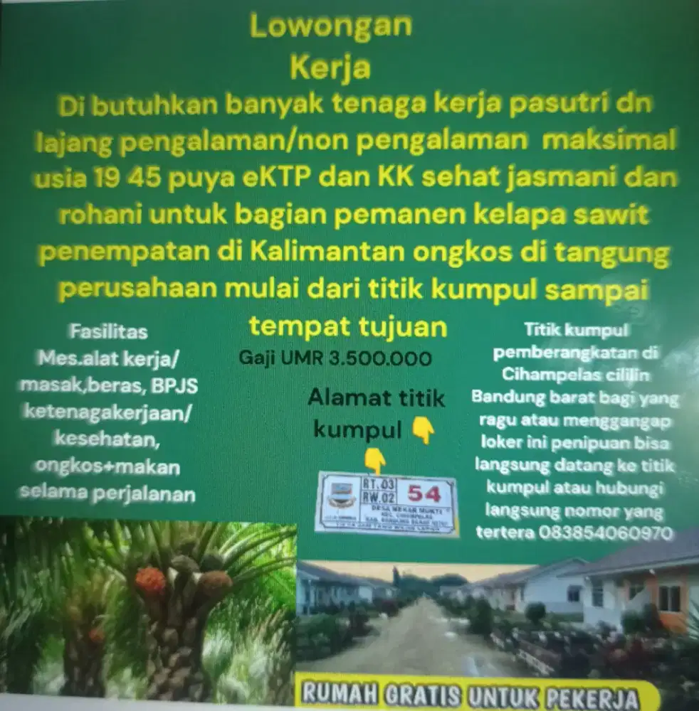 Loker panen kelapa sawit