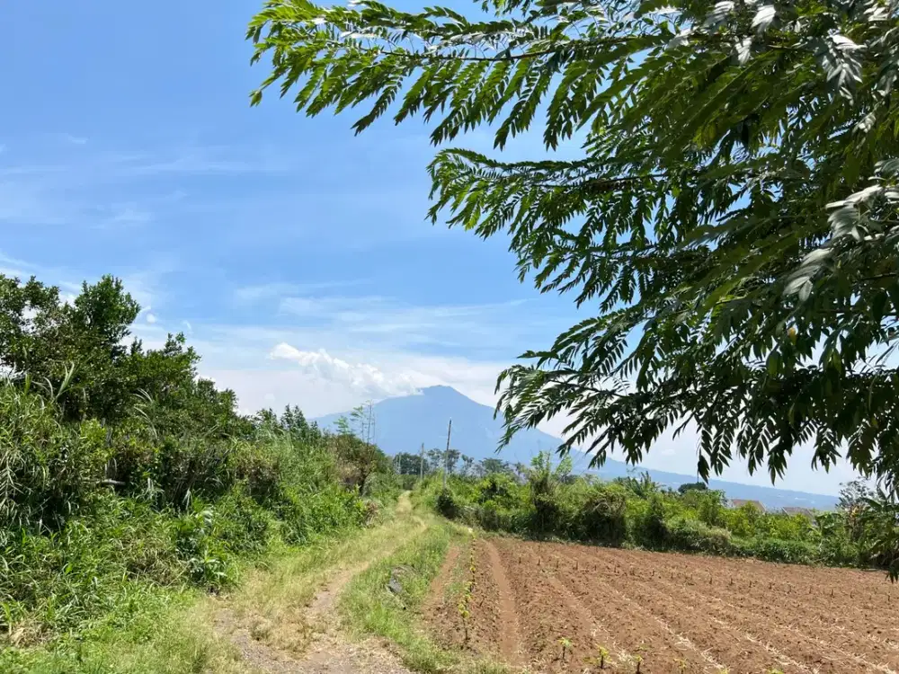 Tanah Kavling Landungsari Malang, Dekat Pondok Thursina Cocok Untuk Tabungan