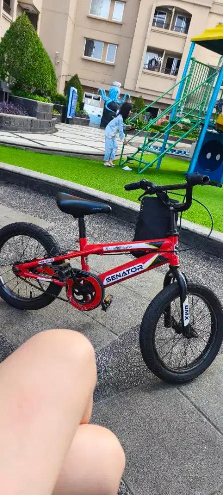Sepeda anak senator