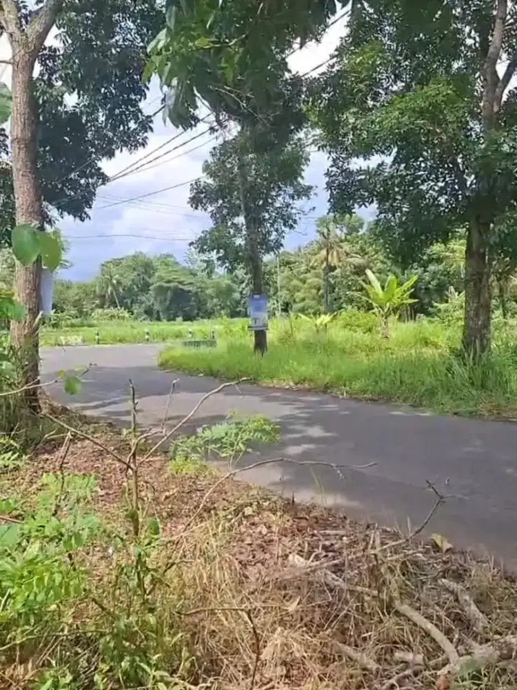 TANAH PINGGIR JALAN RAYA, BARAT PALAGAN KM 14