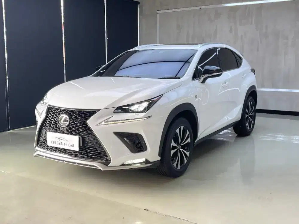 Lexus NX-300 F-Sport Sonic Quartz Metallic 2019