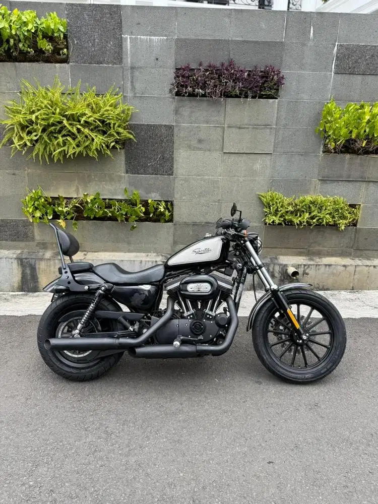 Sportster 883 Karbu