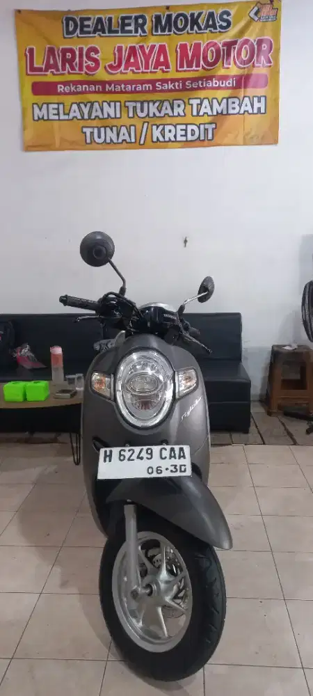 Honda Scoopy Stylish