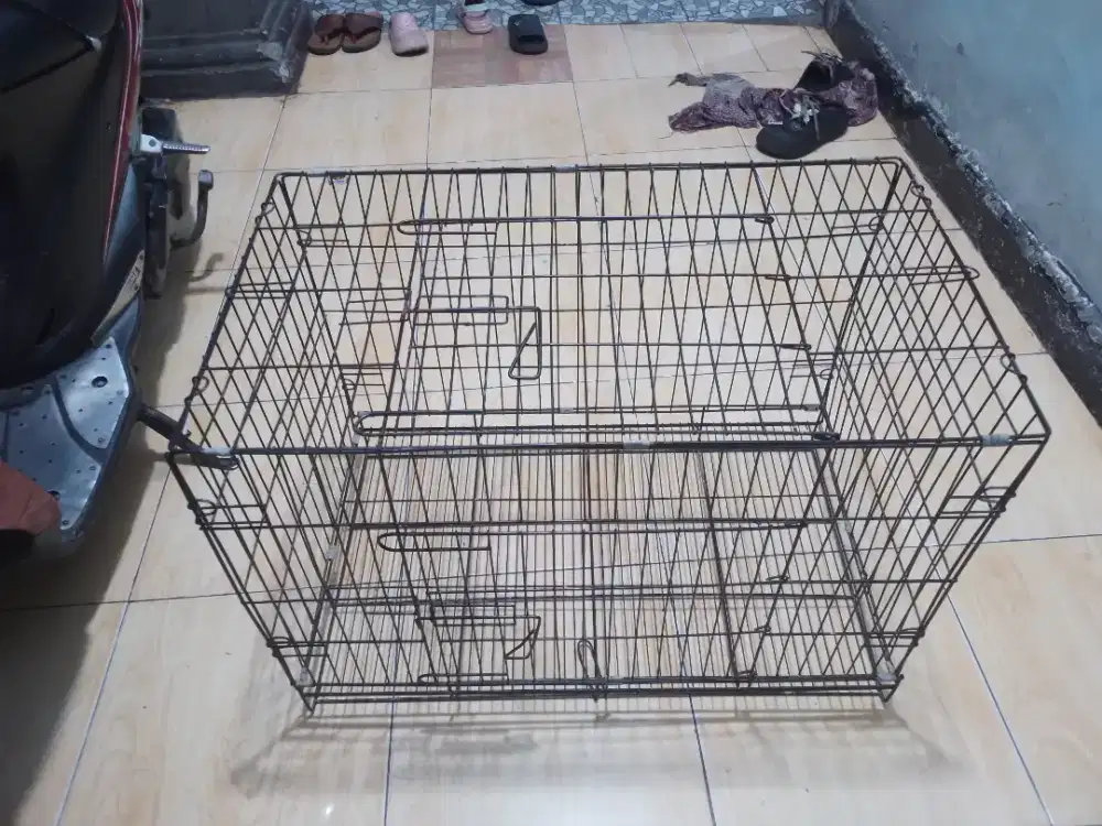 Kandang kucing lipat