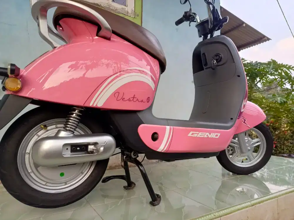 Selis genio vestra L1 mulus