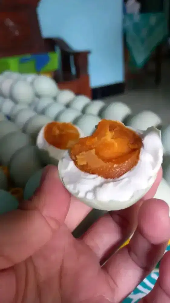 TELUR ASIN MATANG/TELOR ASIN MATANG/TELUR ASIN MURAH