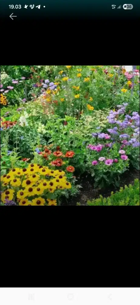 Lowongan kerja tanaman hias