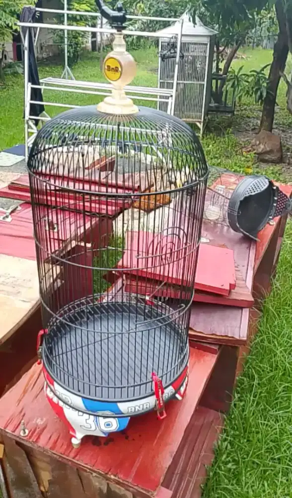 Sangkar ORI BNR Lovebird