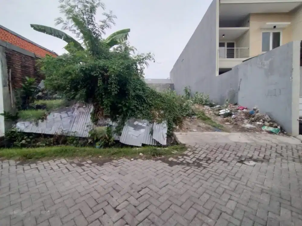 Jual tanah raya sukolilo mulya