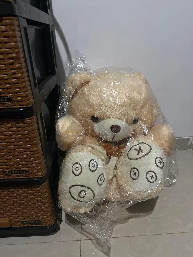 Boneka besar baru