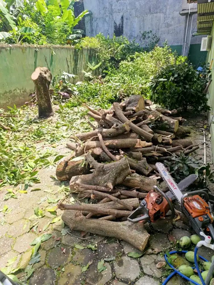 Jasa buang barang, jasa tebang pohon,jasa potong rumput