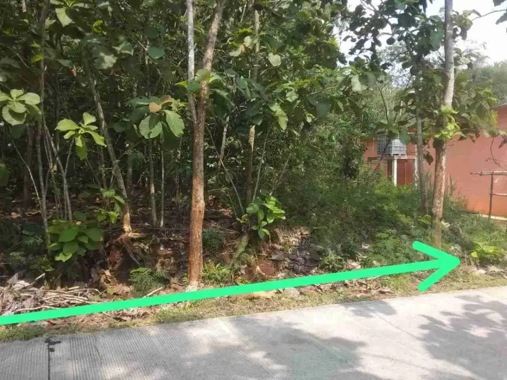 tanah murah pinggir jln utama kalijambe dekat kawasan industri asmindo