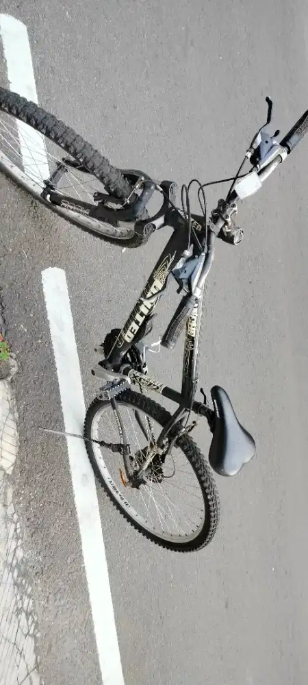 sepeda united ukuran orang dewasa