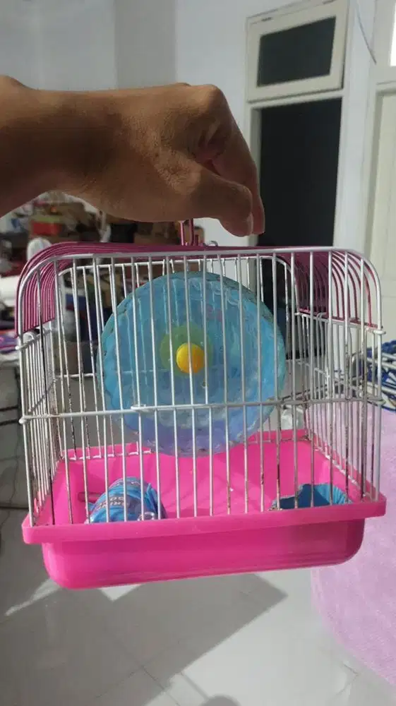 Hamster Kandang