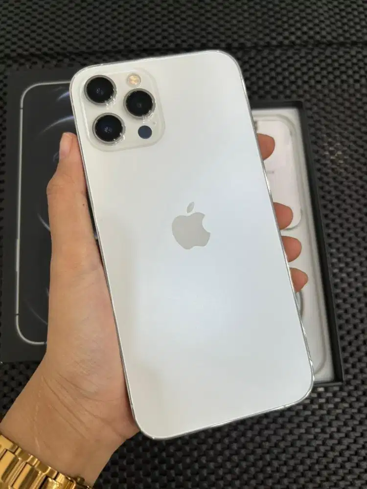 IP 12 PM 128GB BEACUKAI ( SILVER )