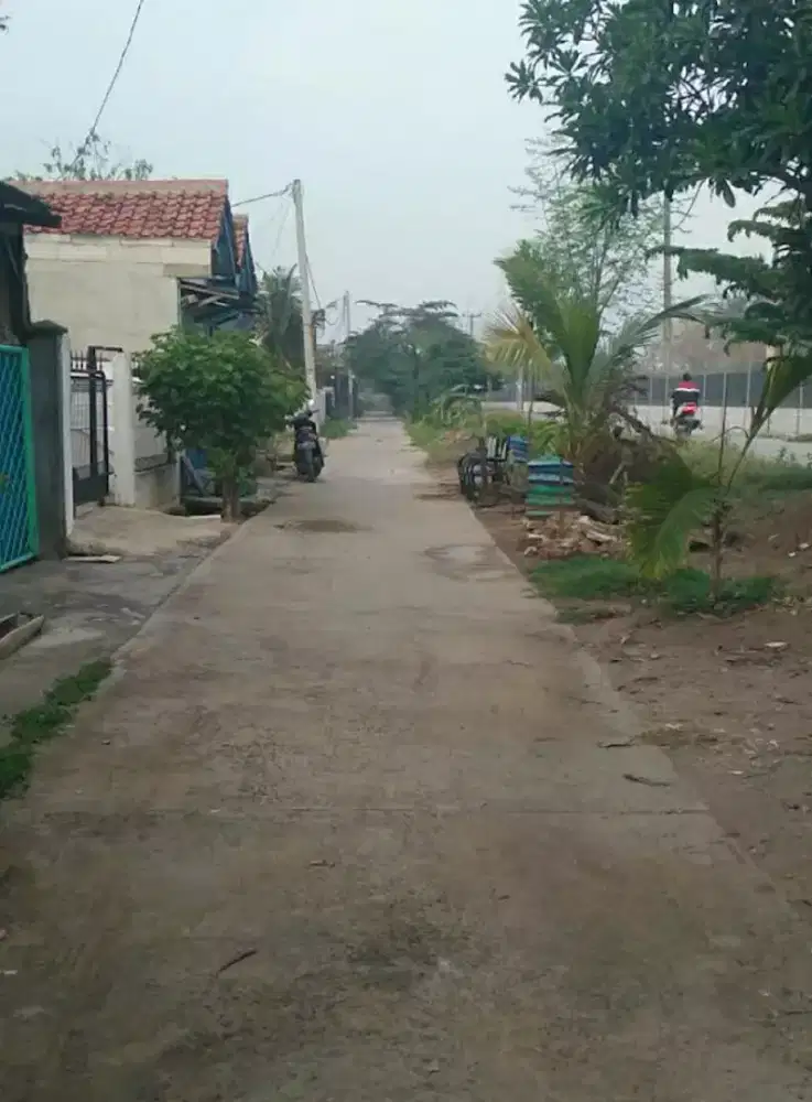 Asisten koki atau warung makan