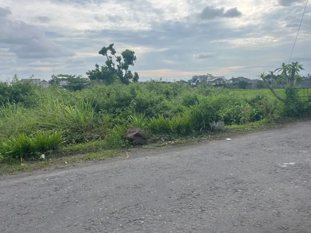 Tanah Premium Jalan Damai Cocok Hunian, Homestay Maupun Kost Eksklusif.  dekat UGM belakang alfamidi jl damai