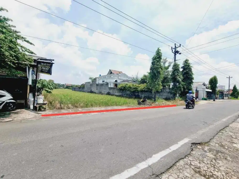Tanah Sawah Akses Jalan Utama Letak Strategis Mudah Akses