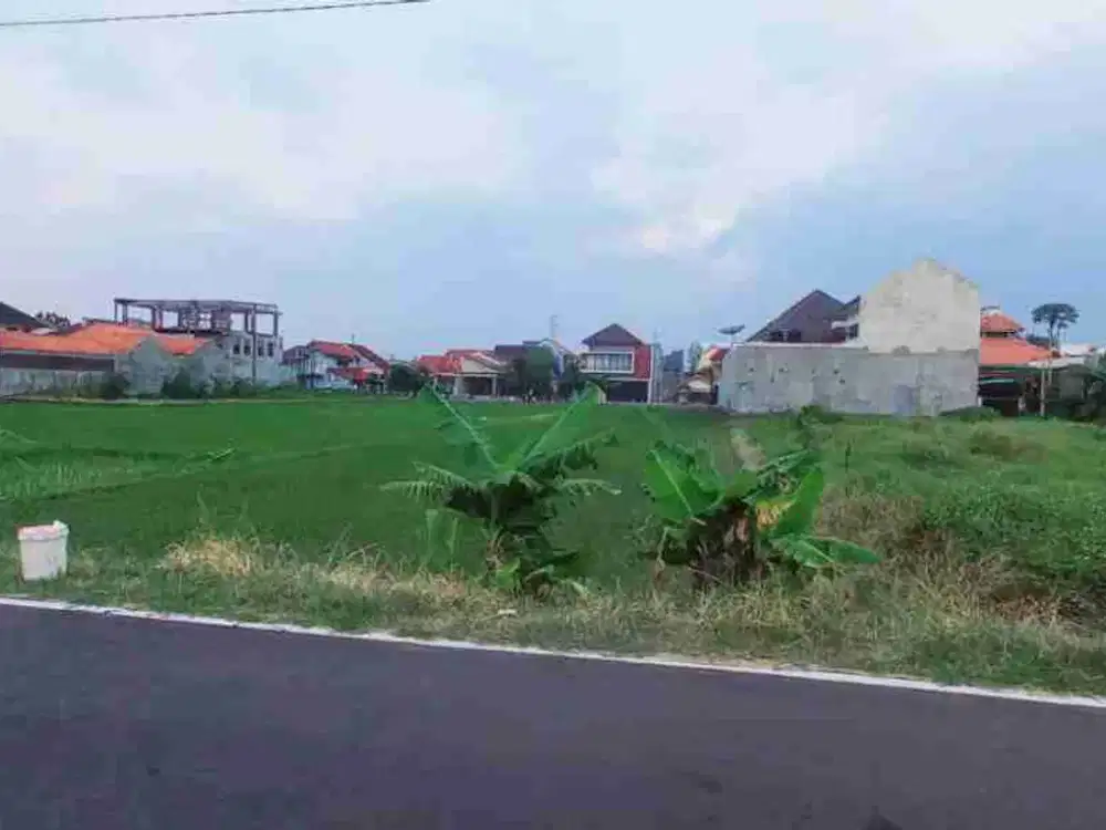 Tanah Sawah Luas 600m² Zona Kuning di Banyuanyar Solo