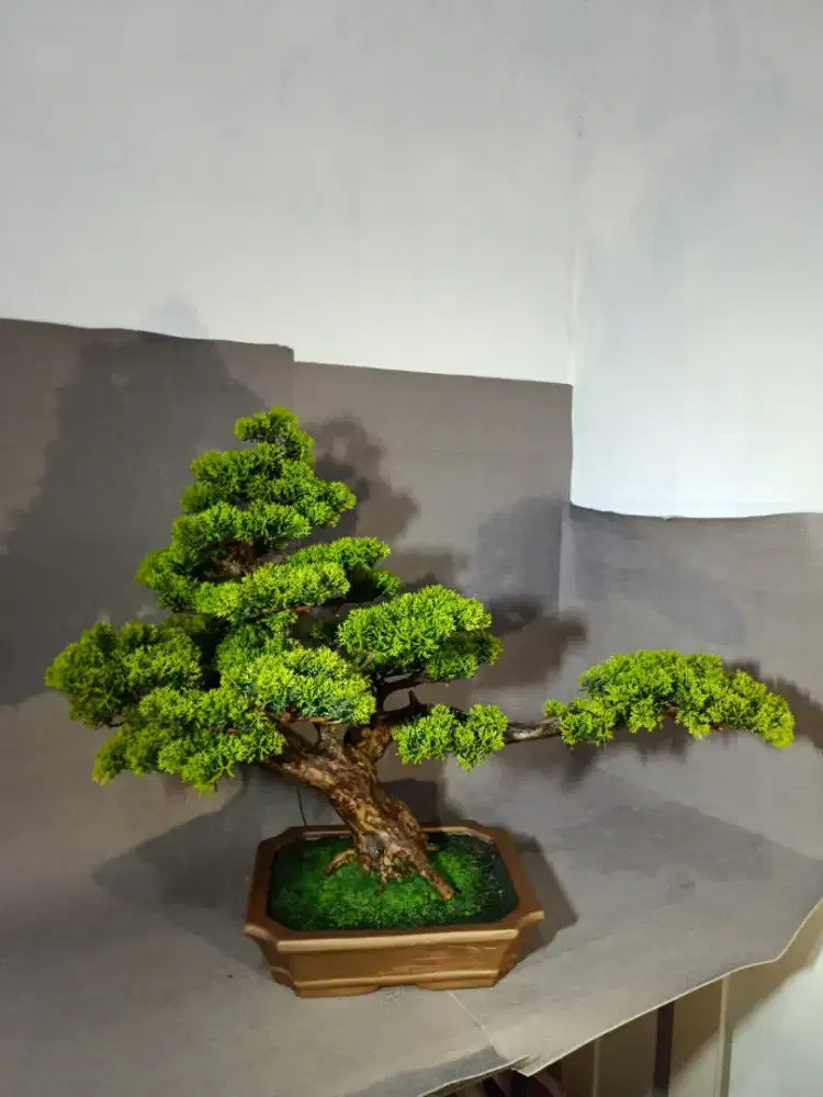 Bonsai artificial, bonsai buatan kayu asli daun plastik
