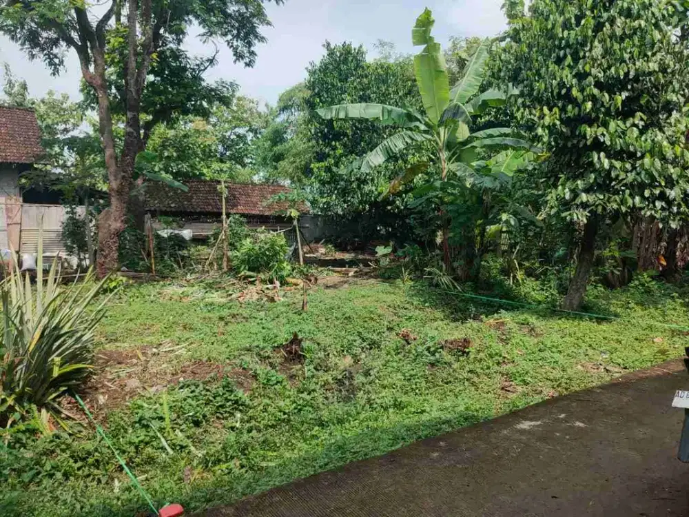 Tanah datar siap bangun Lokasi Kedawung, Sragen Luas 75m2