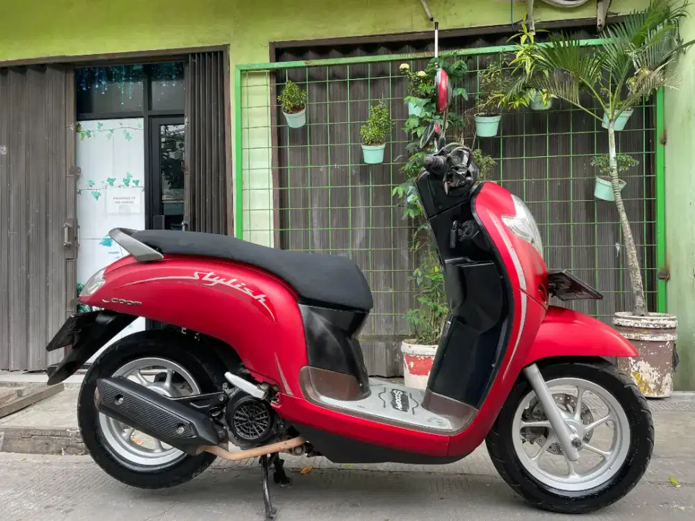 Scoopy Stylish 2020