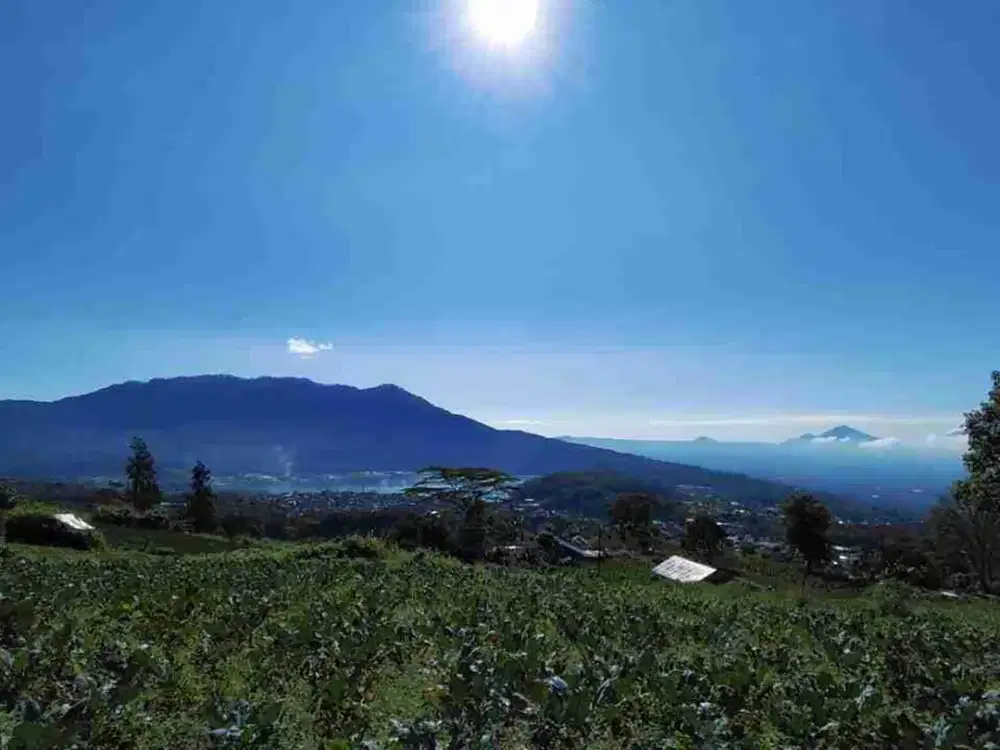 Tanah View Danau dan Kota di Baturiti Bedugul Bali