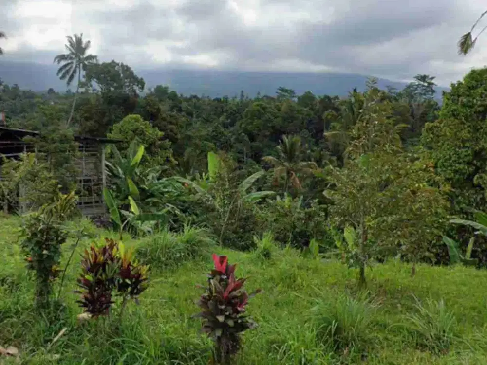 Tanah Asri View Lembah dan Sungai di Mengesta Tabanan