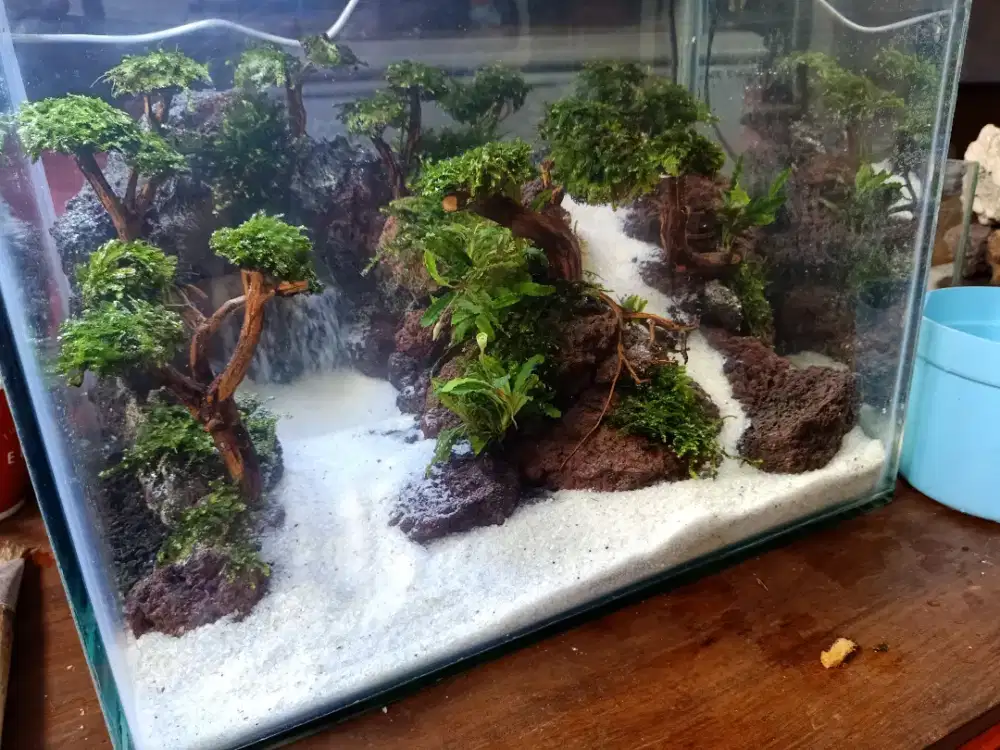 Aquascape fullset