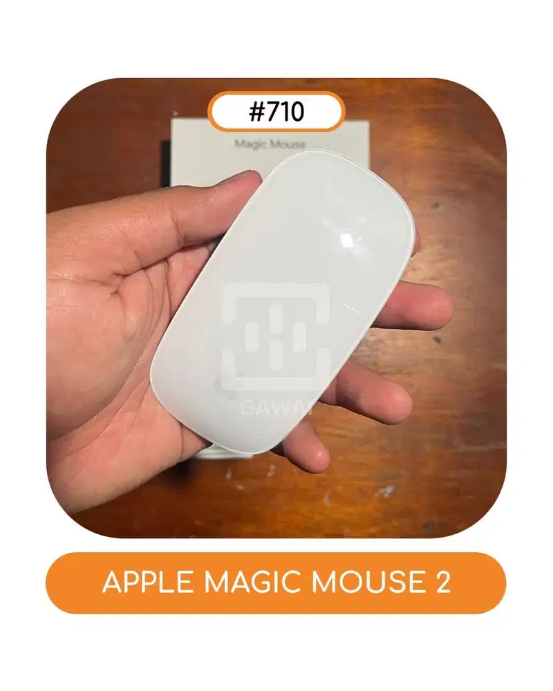 #710 Apple Magic Mouse 2