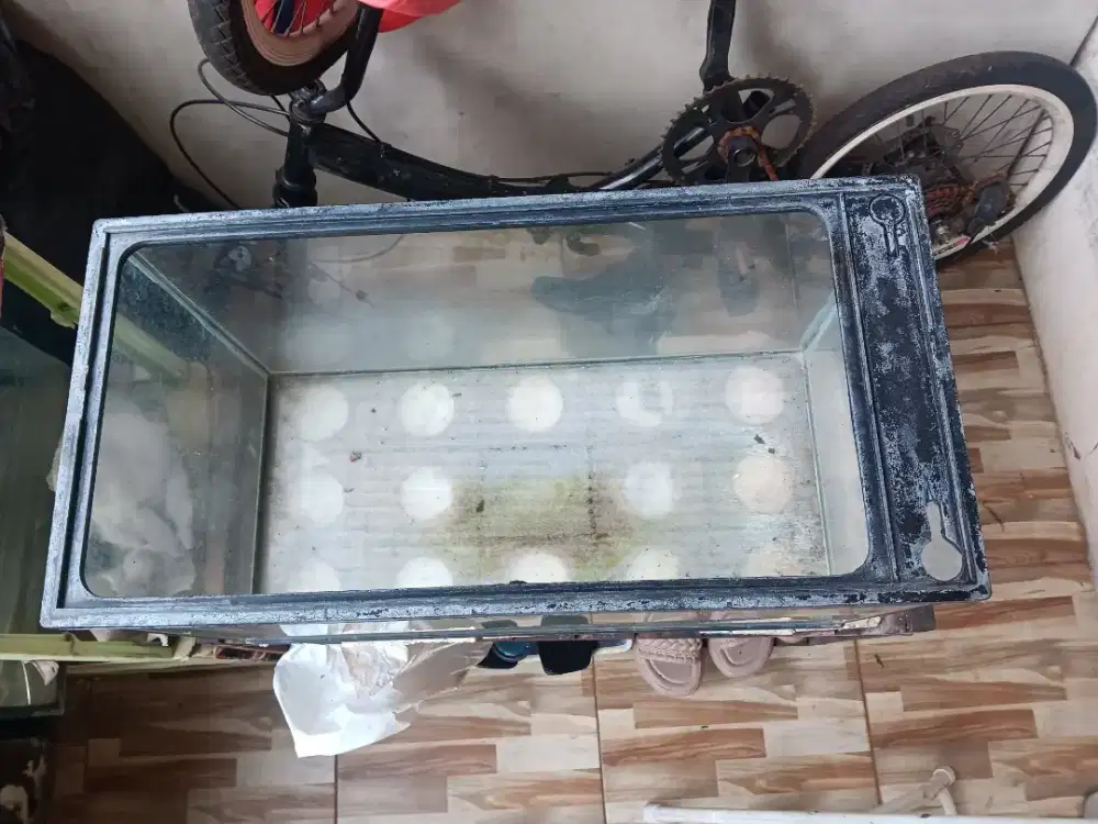 Akuarium Akrilik P 60 L 30 T 35 bekas pakai