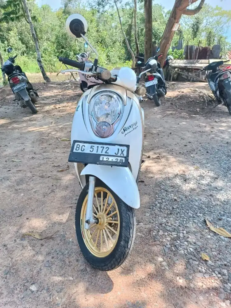 Honda Scoopy carbu