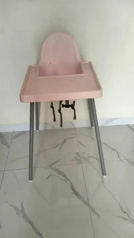 Antilop duduk makan bayi