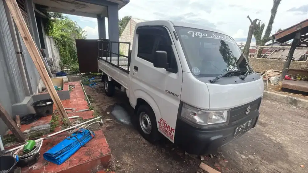 Suzuki carry manual