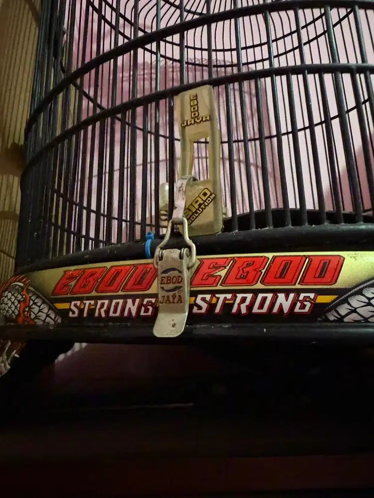 Jual cepat kurung ppc ori ebod