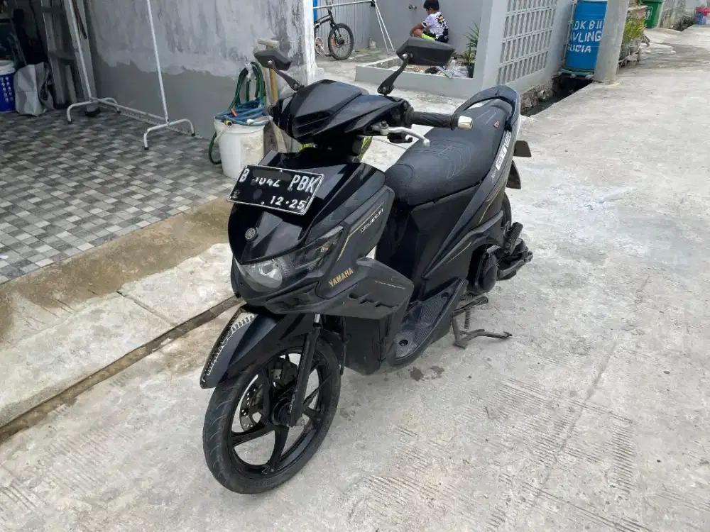 Xeon GT 125 eagle mulus