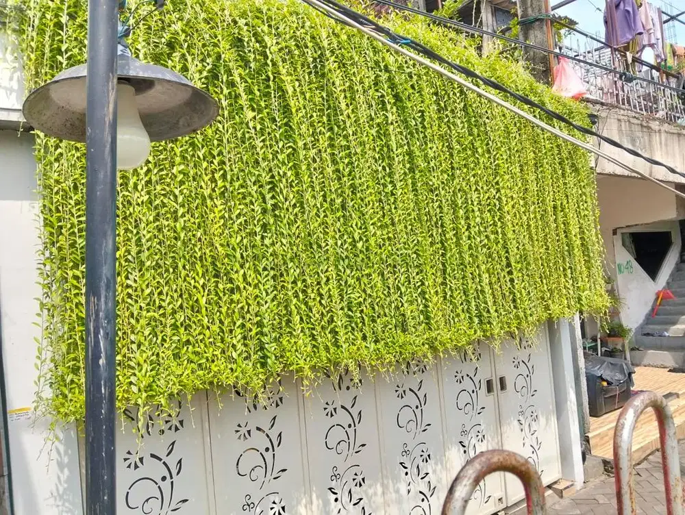 Jual rumah surabaya second