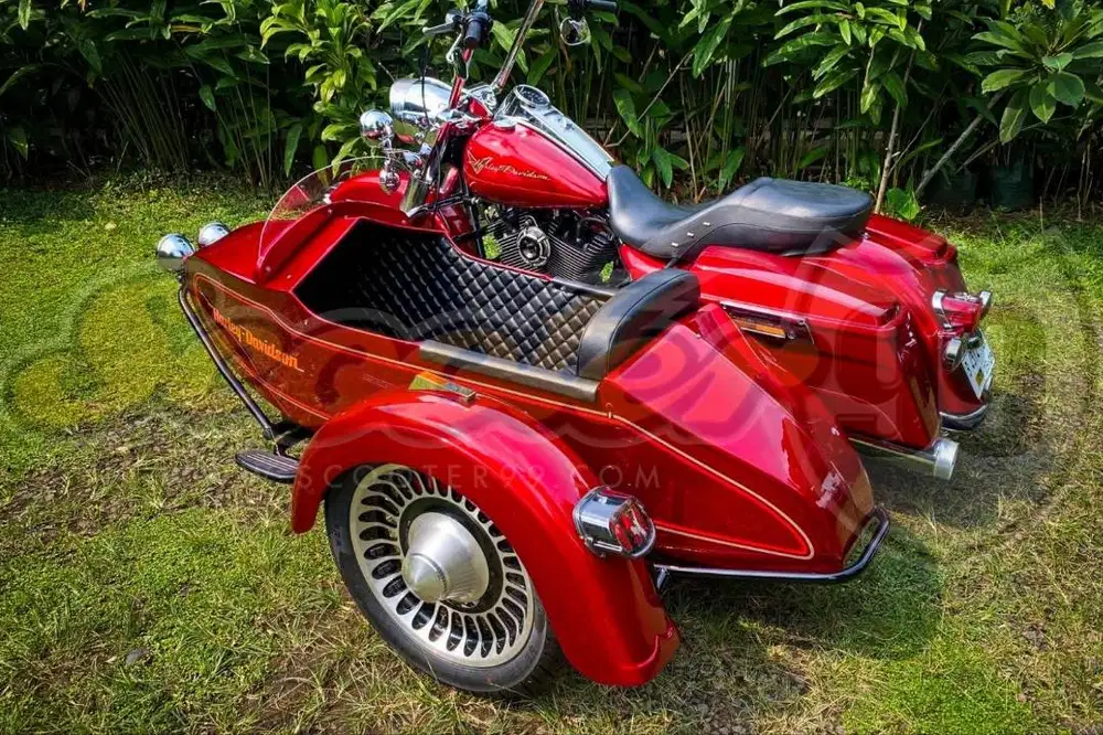 Sespan/Sidecar Motor Harley Davidson