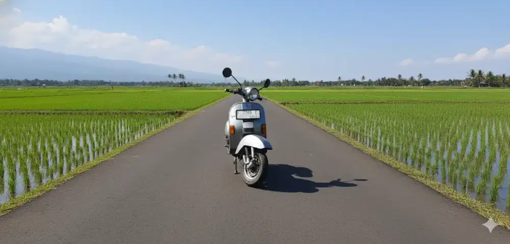 Bismillah, diniagakan vespa excell 2006 convert to NPX