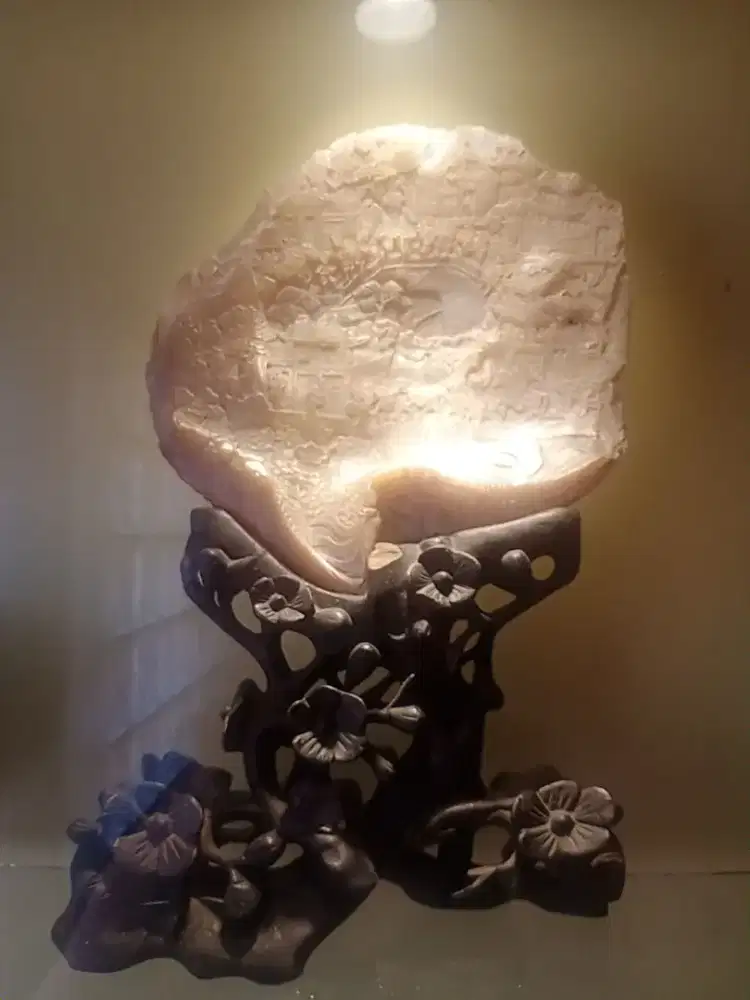 Jual 1 kerang antik, baca deskripsinya. Tdk respon nett nya berapa.