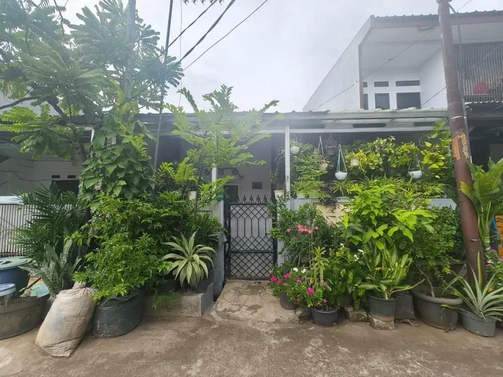 Murah Banget Rumah Asri di Bekasi
