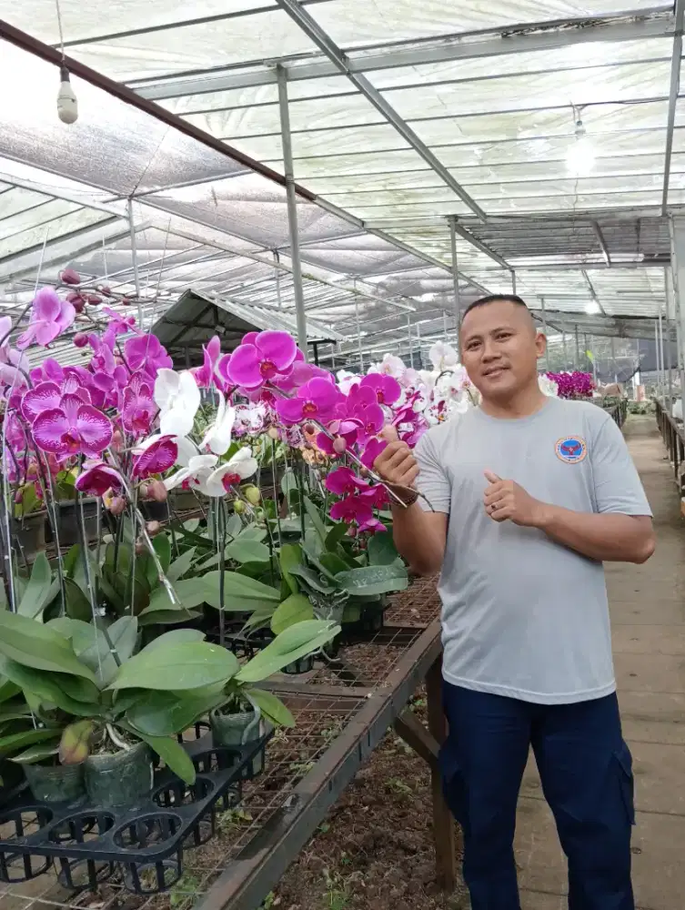 Cari kerja sebagai driver pribadi.