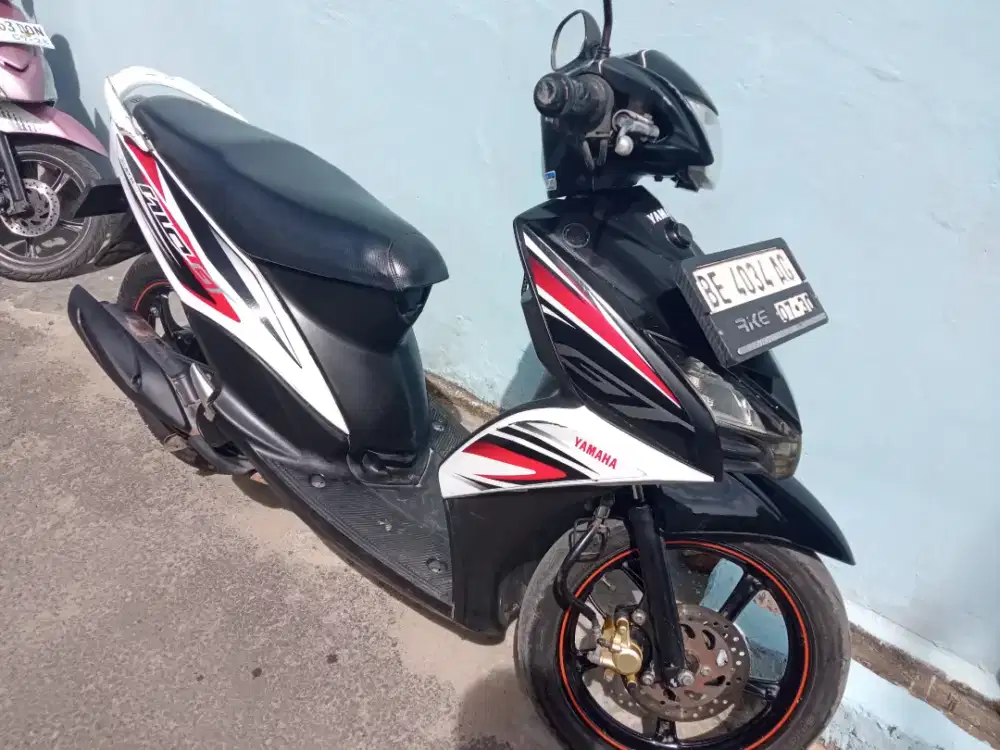 Mio GT 2014 orsinill