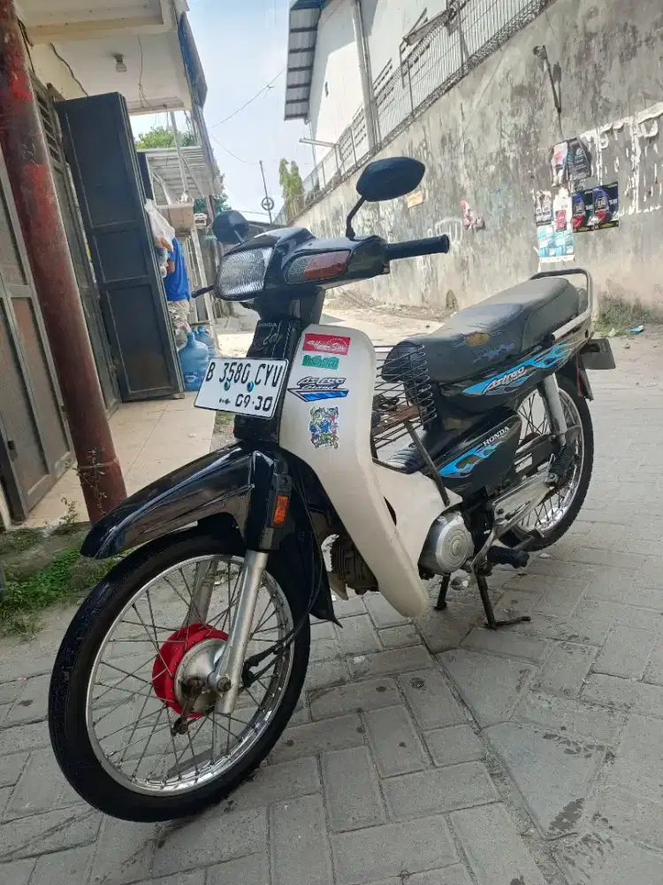 Astrea pajak idup panjng lengkap