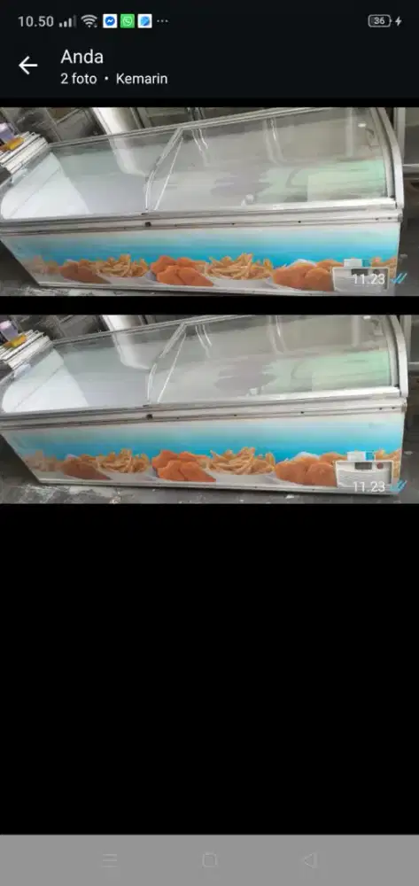 Frezer kaca 1300 liter normal beku